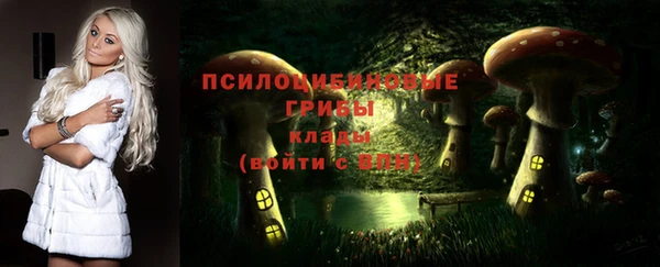 амф Кукмор